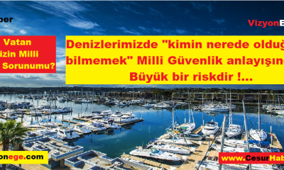 Ülkemizin Milli Güvenlik Sorunu ;Marina, liman, kıyı tesisi ve deniz aracı kiralama tesisleridir!