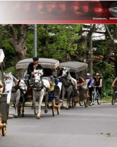 Adalar Belediyesinin “Paramız Yok” Ardında Muhasebe sisteminin Çöküşümü var